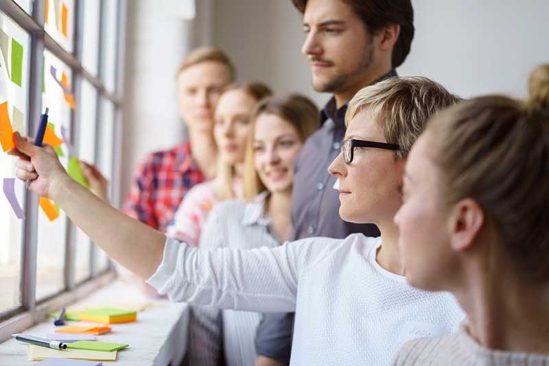 MercuryGate Continuous Improvement Assessment - Identify Opportunities