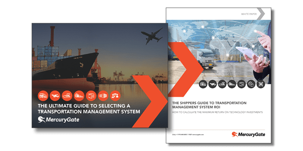 tms-selection-package banner image 2018 TMS Software Selection Package - Document Grouping