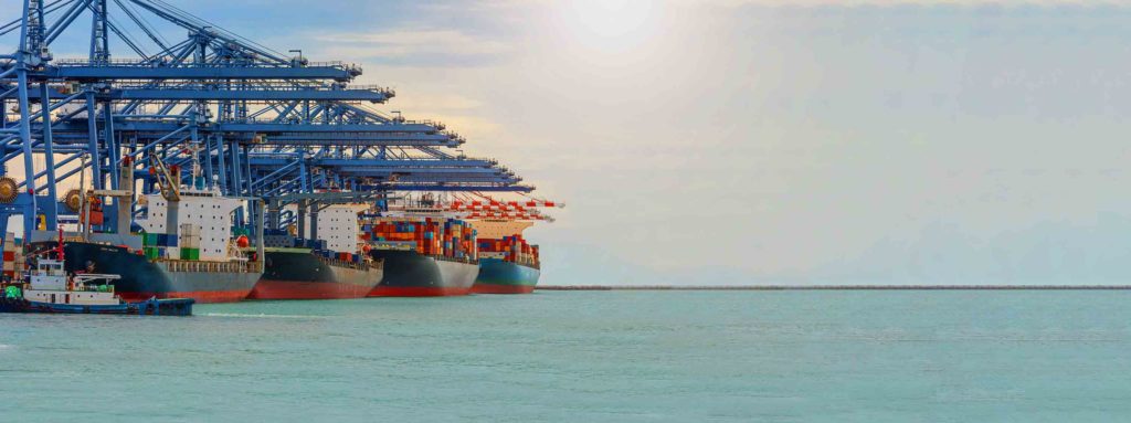 Dock TMS