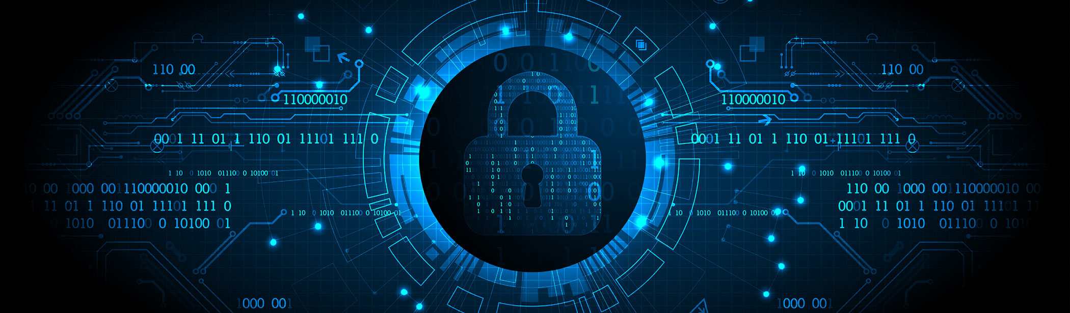 Physical Data Security Padlock