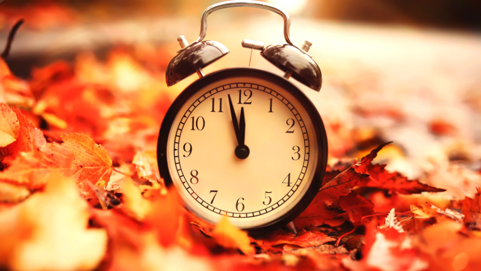 Time and seasons change like your needs for a TMS provider.