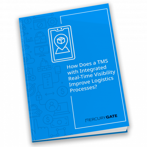 RealTime-Visibility-ebook-thumbnail RealTime-Visibility-ebook-thumbnail